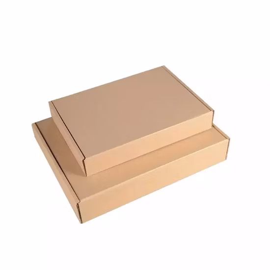 Custom Printed Corrugated Shipping Commerce Carton Mailer Gift Wedding Candy Plastic Kraft Pizza Food Shoe Foldable Fruit Necklac Cardboard Packaging Paper Box